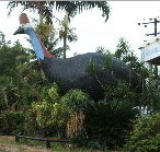 The Big Cassowary - Accommodation QLD