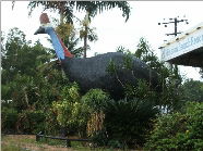 The Big Cassowary - Accommodation QLD 0