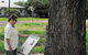 Augathella Kenniff Tree - thumb 0
