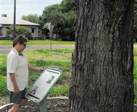 Augathella Kenniff Tree - Accommodation QLD 0