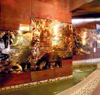 Riversleigh Fossil Centre - Accommodation QLD