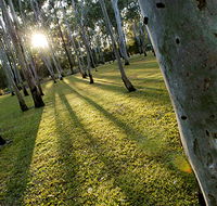 Tondoon Botanic Gardens - Accommodation QLD