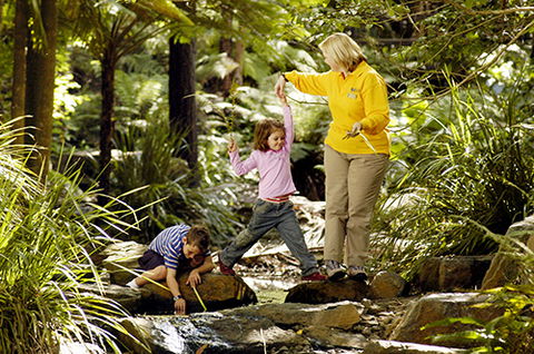 Tondoon Botanic Gardens - Accommodation QLD 2