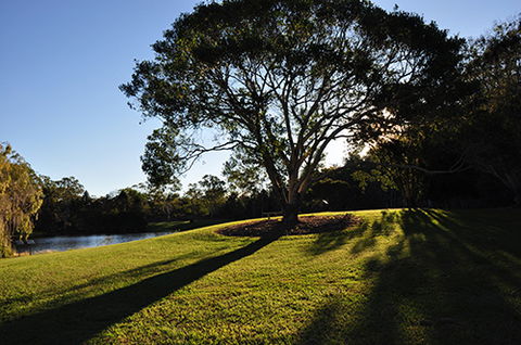 Tondoon Botanic Gardens - Accommodation QLD 4