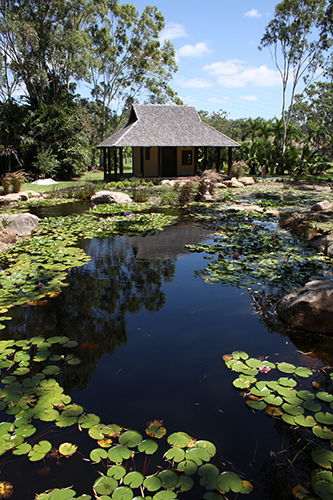 Tondoon Botanic Gardens - Accommodation QLD 8