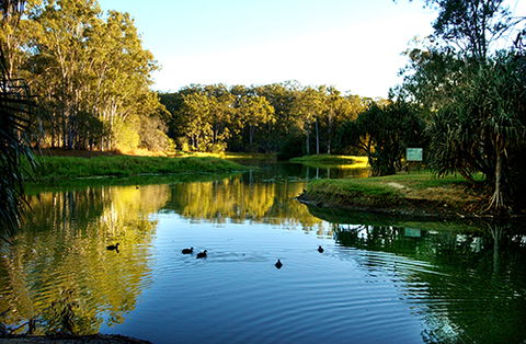 Tondoon Botanic Gardens - Accommodation QLD 9
