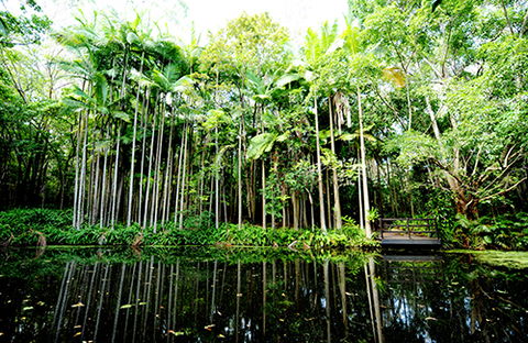 Tondoon Botanic Gardens - Accommodation QLD 11