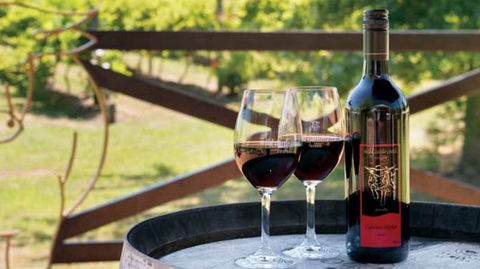 Wild Cattle Creek Estate Winery Restaurant - Accommodation QLD 4