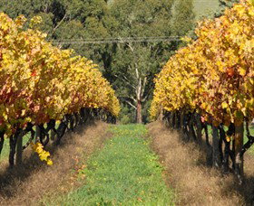 Wild Dog Winery & Restaurant - Accommodation QLD 0