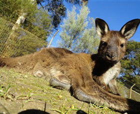 Dereel VIC Accommodation QLD