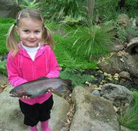 Wild Food Farm  Cafe - Accommodation QLD