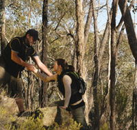 Greater Bendigo National Park - Accommodation QLD