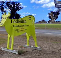 Locheilan Farmhouse Cheese - Accommodation QLD