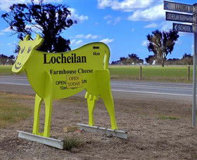 Locheilan Farmhouse Cheese - Accommodation QLD 0