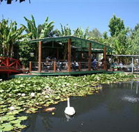 Blue Lotus Water Garden - Accommodation QLD
