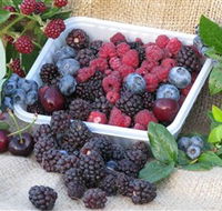 Bright Berry Farms - Accommodation QLD