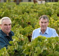 Campbells Wines - Accommodation QLD