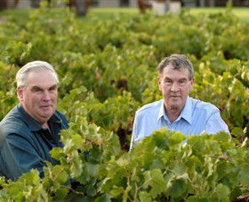 Campbells Wines - Accommodation QLD 0