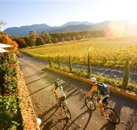 Boyntons Feathertop Winery - Accommodation QLD