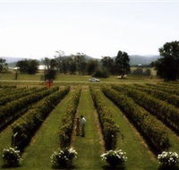 Rochford Wines - Accommodation QLD