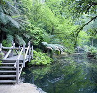 Alfred Nicholas Gardens - Accommodation QLD