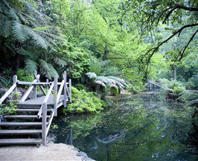 Alfred Nicholas Gardens - Accommodation QLD 0