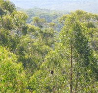 Bunyip State Park - Accommodation QLD