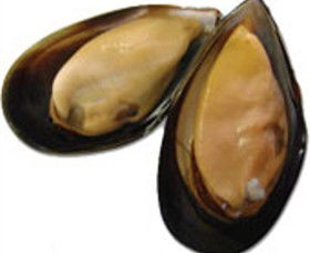 St Leonards VIC Accommodation QLD