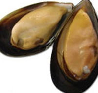 Sea Bounty - Accommodation QLD