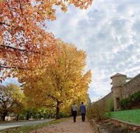 Beechworth Historic Park - Accommodation QLD