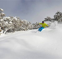 Mt Buller and Mt Stirling Alpine Resort - Accommodation QLD