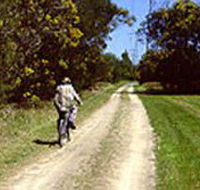 Koomba Park - Accommodation QLD