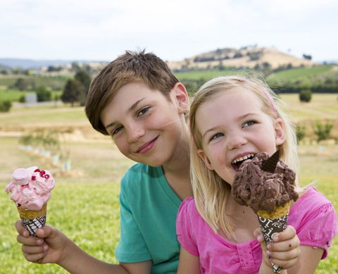 Yarra Valley Chocolaterie & Ice Creamery - Accommodation QLD 6