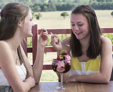 Yarra Valley Chocolaterie & Ice Creamery - Accommodation QLD 8