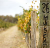Stanton and Killeen Wines - Accommodation QLD
