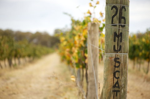 Stanton And Killeen Wines - Accommodation QLD 0