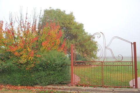 Stanton And Killeen Wines - Accommodation QLD 4