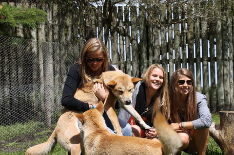 Great Ocean Road Wildlife Park - Accommodation QLD 3