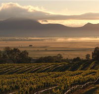 Montara Wines - Accommodation QLD