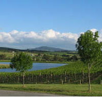 Yarrawood Estate - Accommodation QLD