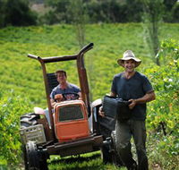 Kellybrook Winery  Kelly Brothers Cider - Accommodation QLD