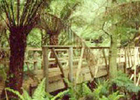 Mount Worth State Park - Accommodation QLD 0