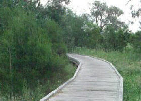 Shepherds Bush - Accommodation QLD 0