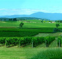 Acacia Ridge Vineyard - Accommodation QLD