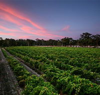 Amherst Winery - Accommodation QLD