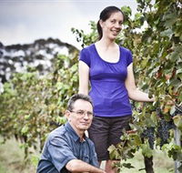 Anderson Winery - Accommodation QLD