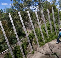 Herring Island Environmental Sculpture Park - Accommodation QLD