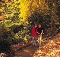 George Tindale Memorial Gardens - Accommodation QLD