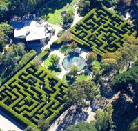 Ashcombe Maze  Lavender Gardens - Accommodation QLD