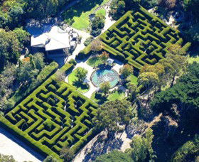 Ashcombe Maze & Lavender Gardens - Accommodation QLD 0